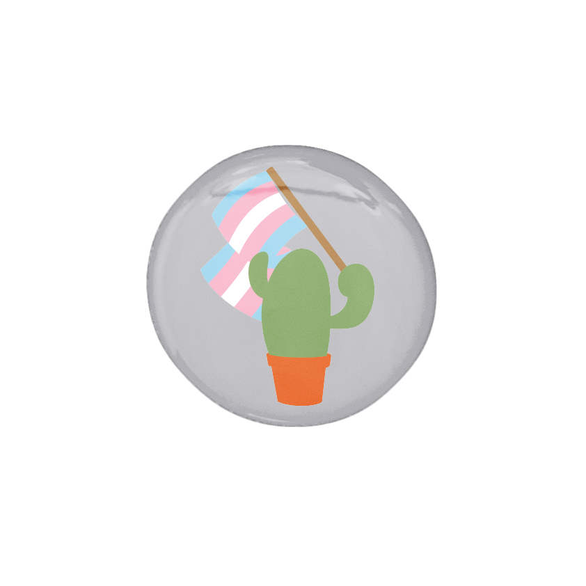 Prickly Pride Pins | Pride Flag Cacti